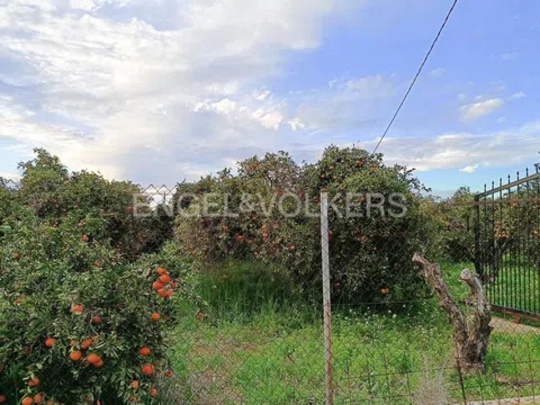 Terreno en venta en Denia, Alicante photo 4