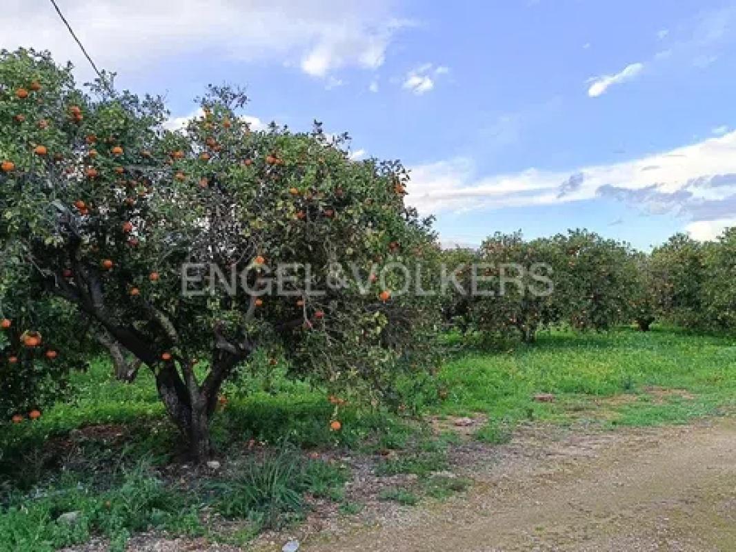 Terreno en venta en Denia, Alicante photo 5