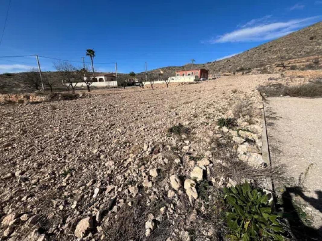 Terreno en venta en Hondón de los Frailes, Alicante photo 1