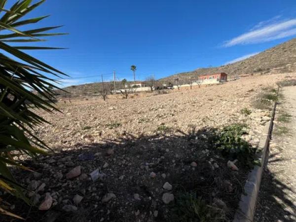 Terreno en Hondón de los Frailes photo 4