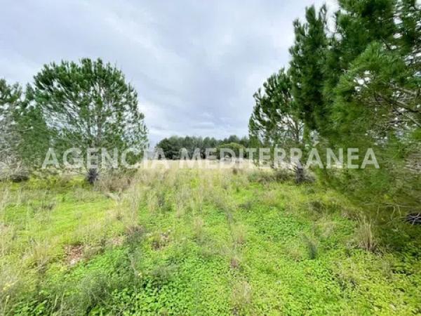 Terreno en Partida Plans photo 1