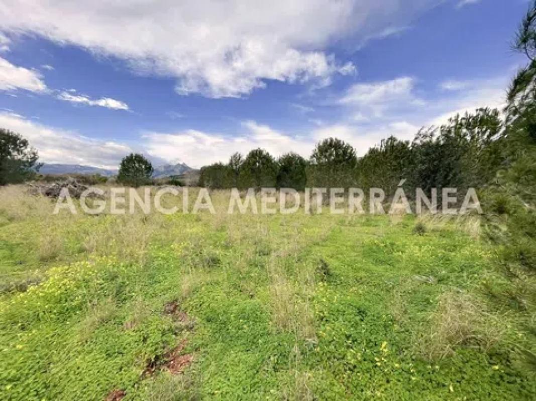 Land for sale in Beniarbeig, Alicante photo 2