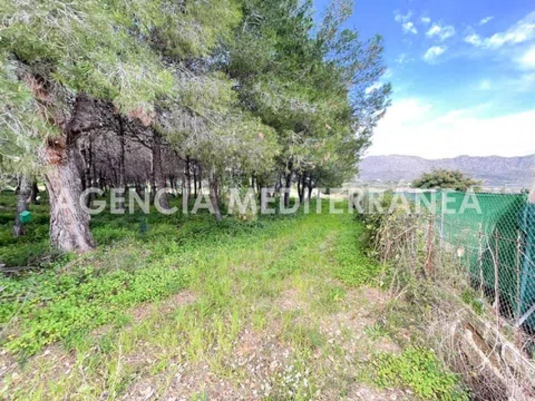 Land for sale in Beniarbeig, Alicante photo 3