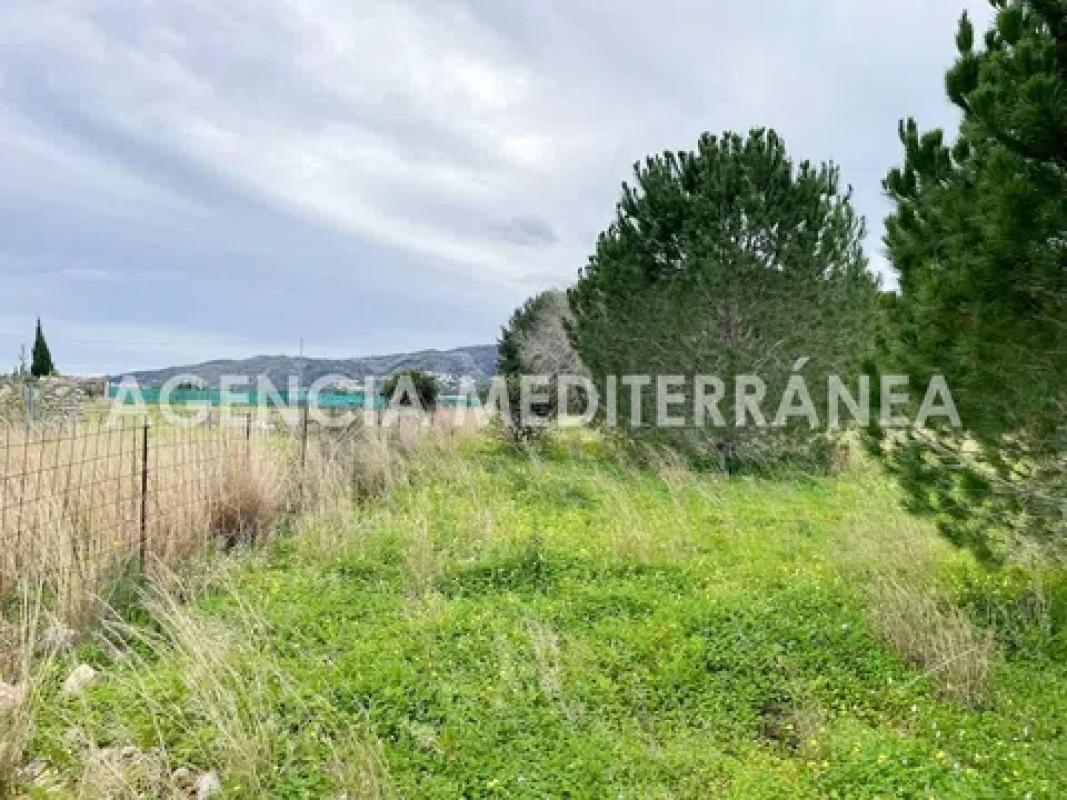 Land for sale in Beniarbeig, Alicante photo 4