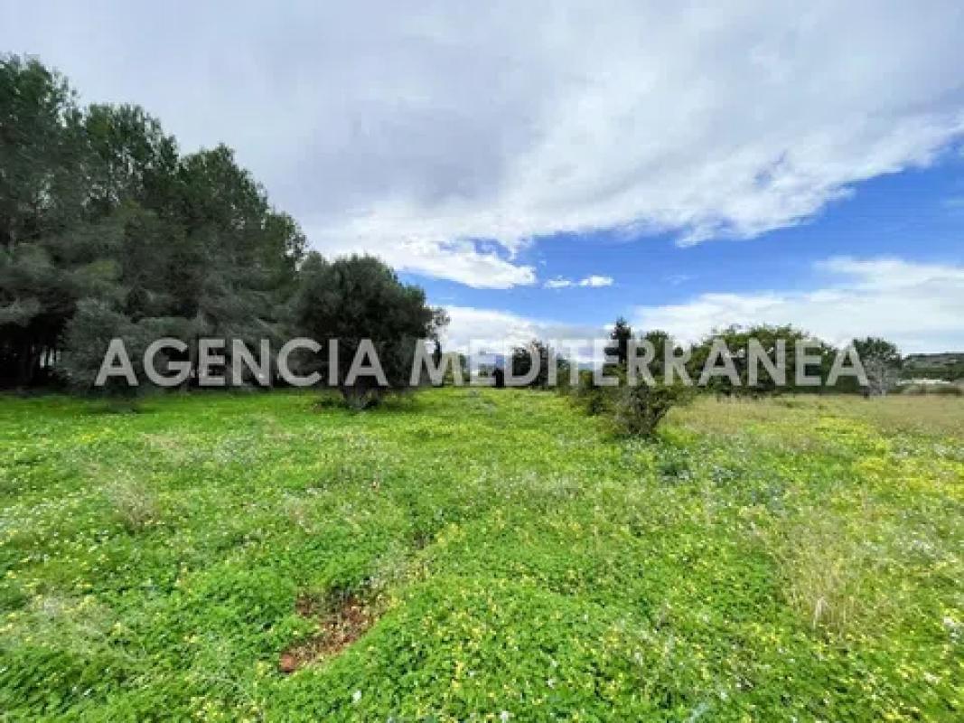 Land for sale in Beniarbeig, Alicante photo 5