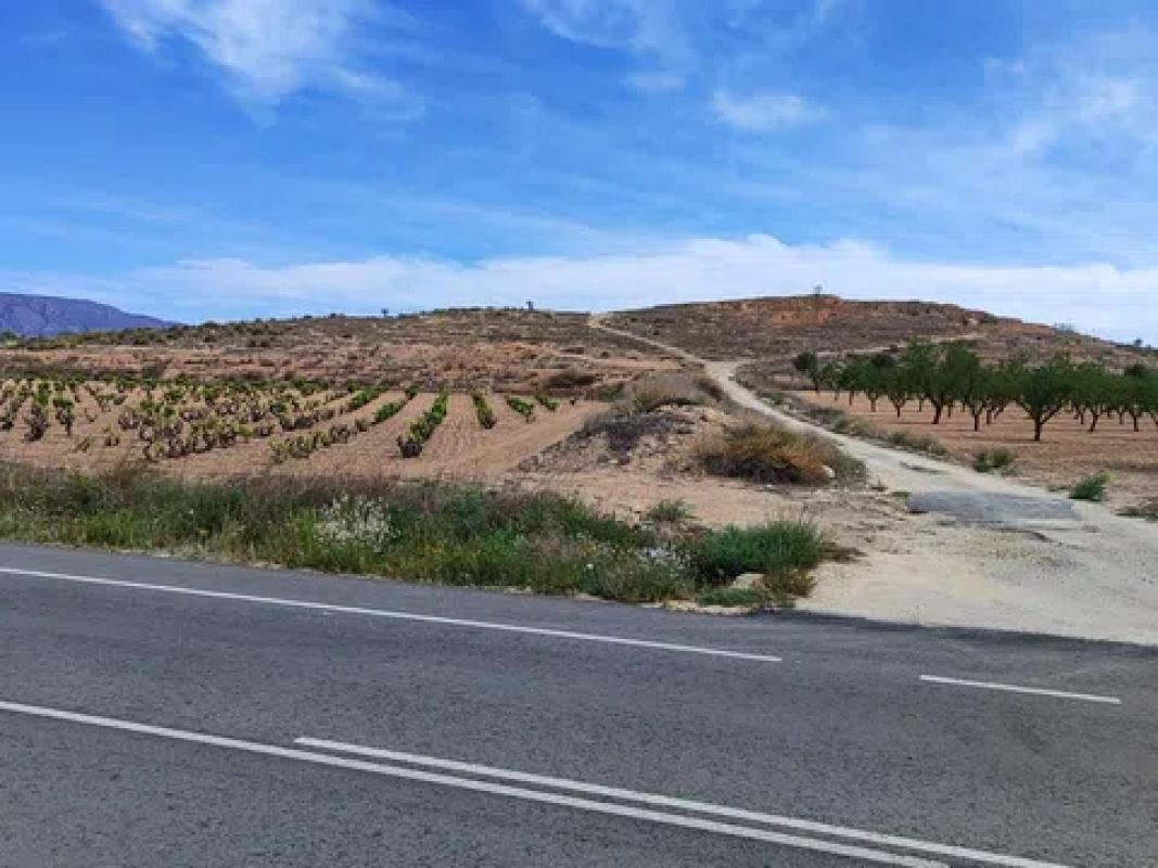 Terreno en venta en Pinoso, Alicante photo 1
