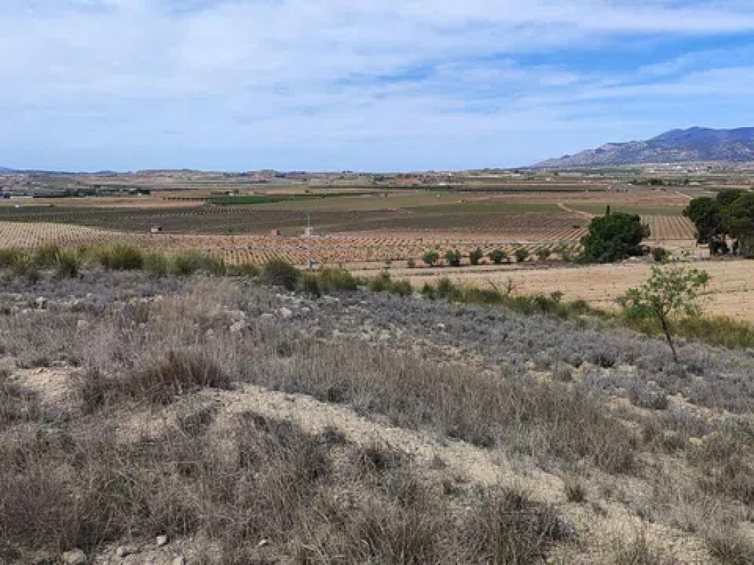 Terreno en venta en Pinoso, Alicante photo 2