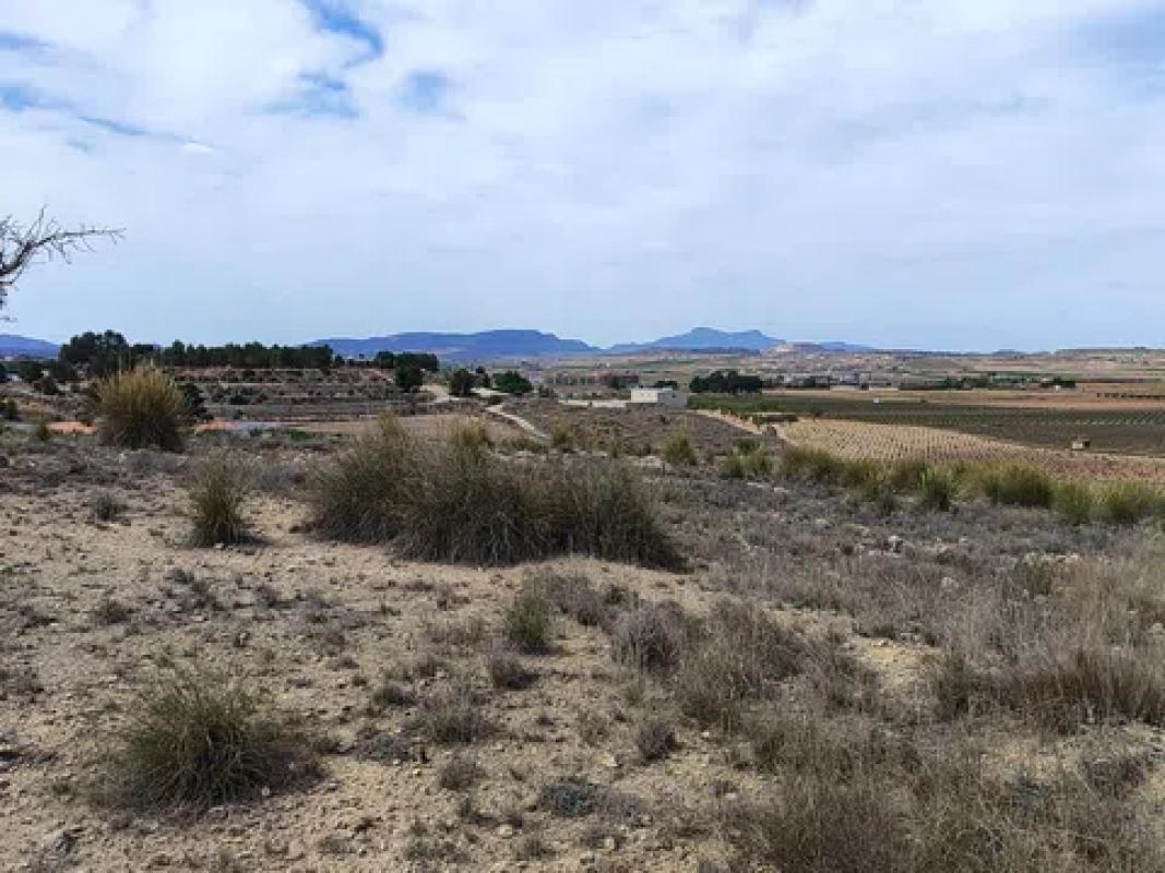 Terreno en venta en Pinoso, Alicante photo 4