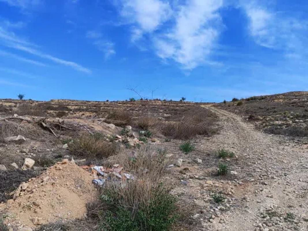 Terreno en venta en Pinoso, Alicante photo 5