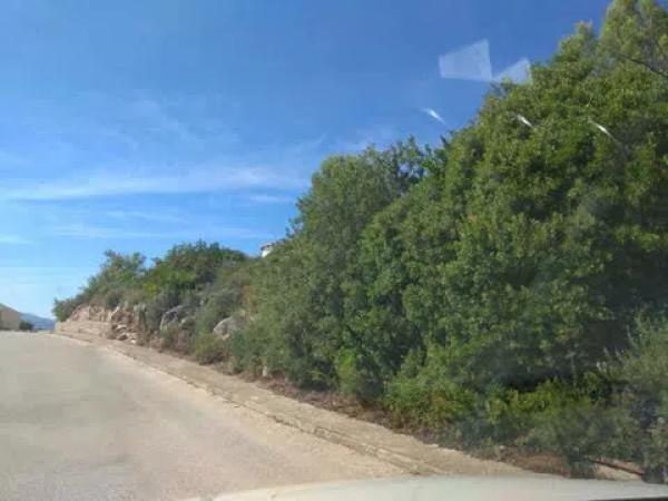 Terreno en calle Pintor Picaso photo 3