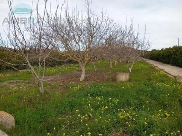 Terreno en Pego photo 1