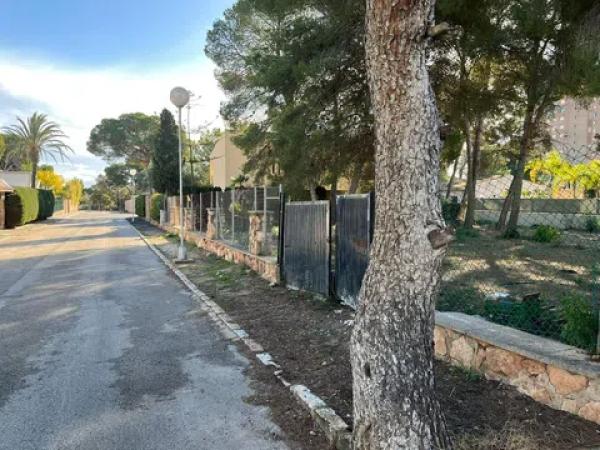 Terreno en calle de Rosalía de Castro, 41 c photo 4
