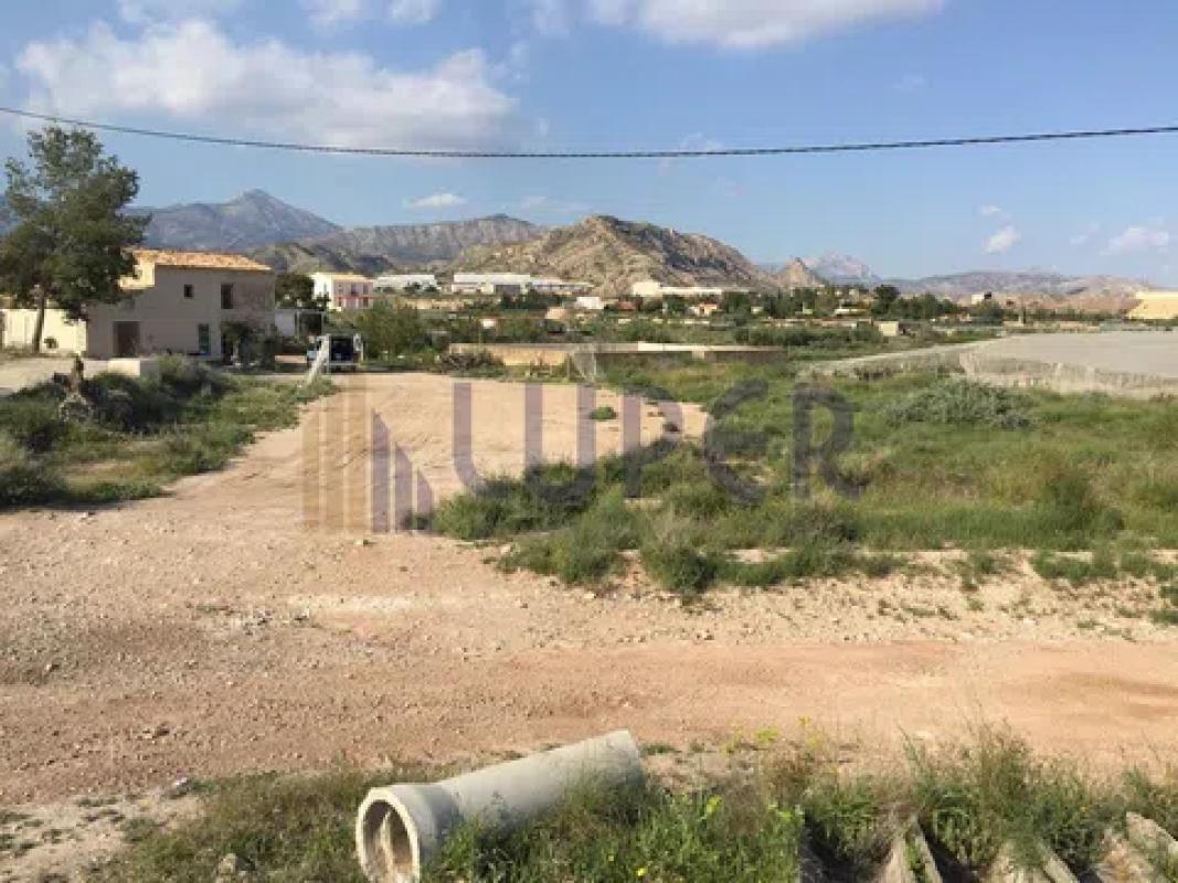 Land for sale in August, Alicante photo 1