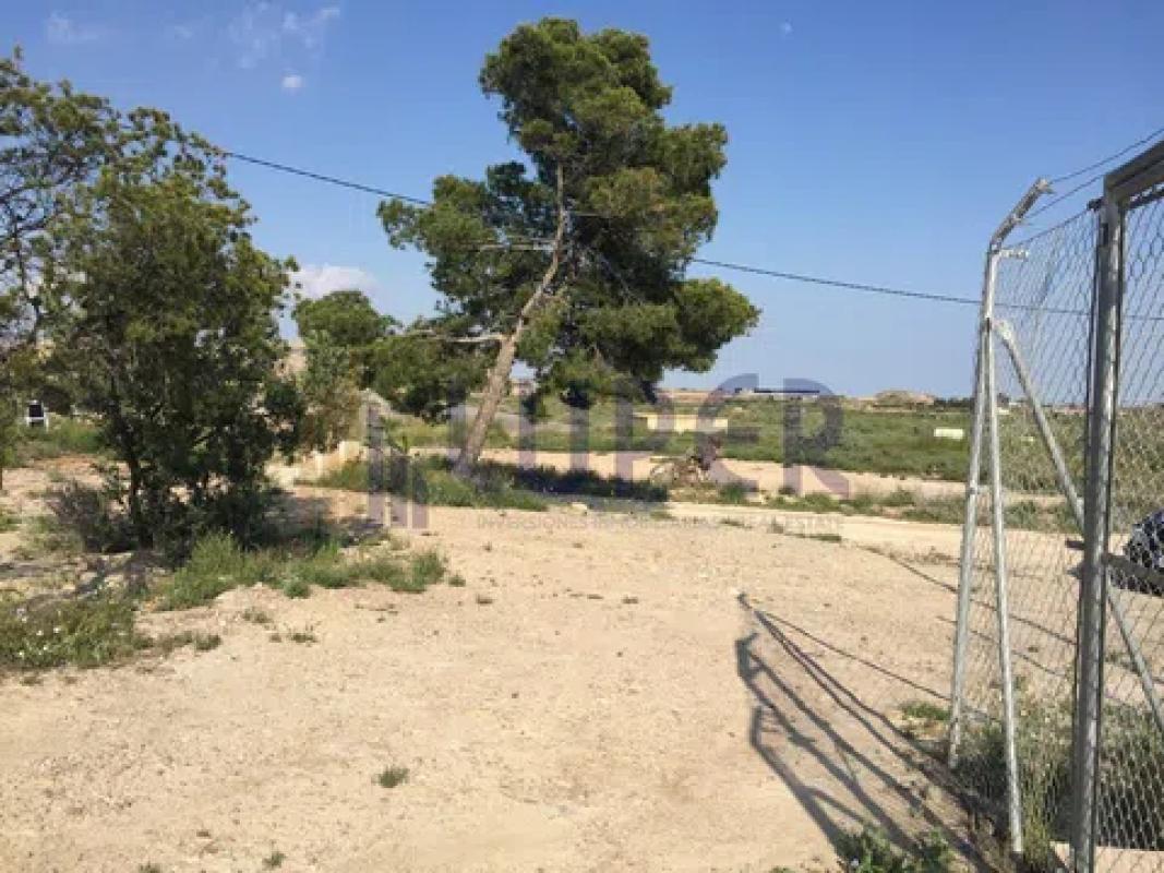 Land for sale in August, Alicante photo 3