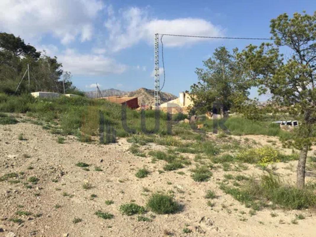 Land for sale in August, Alicante photo 4
