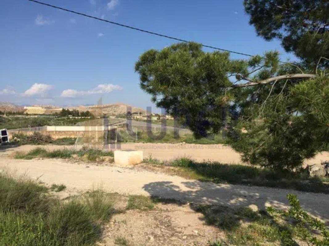 Land for sale in August, Alicante photo 5
