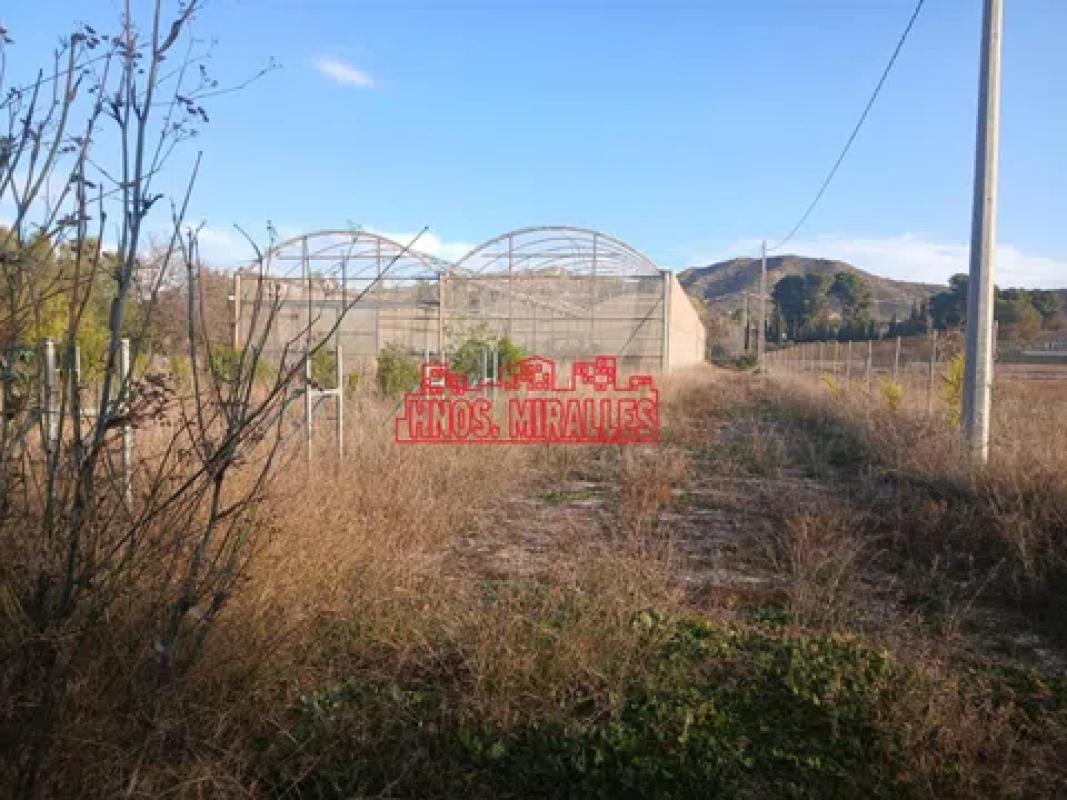 Terreno en venta en Aspe, Alicante photo 2