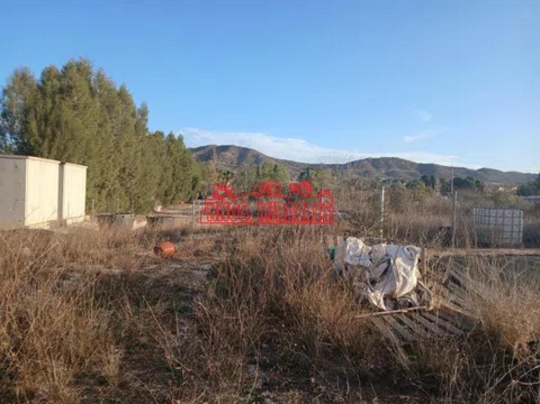 Terreno en venta en Aspe, Alicante photo 3
