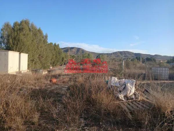 Terreno en Pedanías Este photo 3
