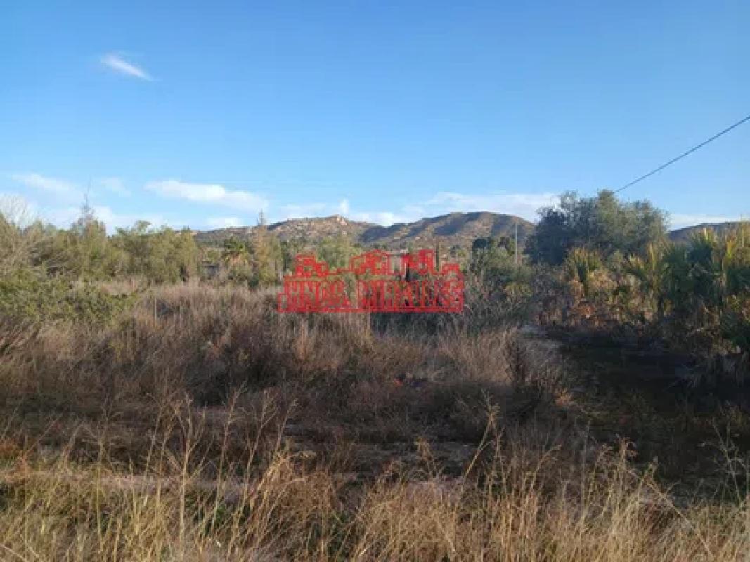 Terreno en venta en Aspe, Alicante photo 4