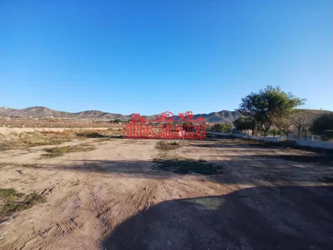 Terreno en venta en Aspe, Alicante photo 1