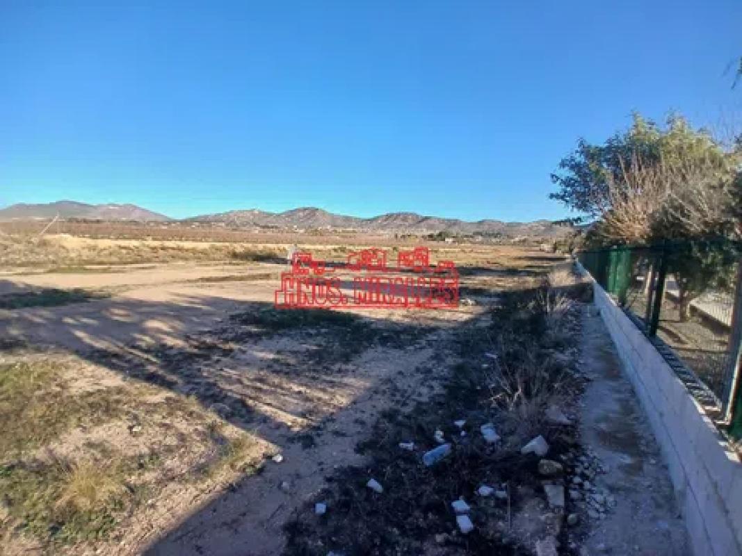 Terreno en venta en Aspe, Alicante photo 2