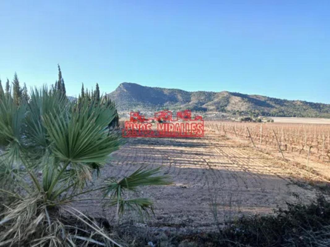 Terreno en venta en Aspe, Alicante photo 4