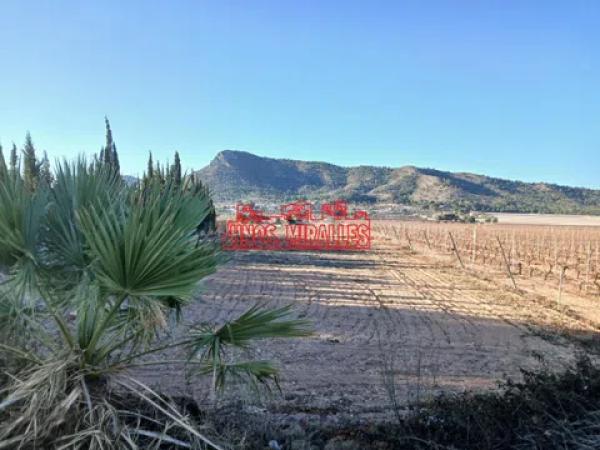 Terreno en Pedanías Este photo 4