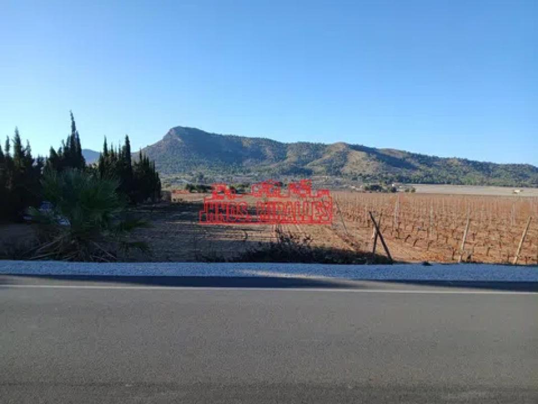 Terreno en venta en Aspe, Alicante photo 5