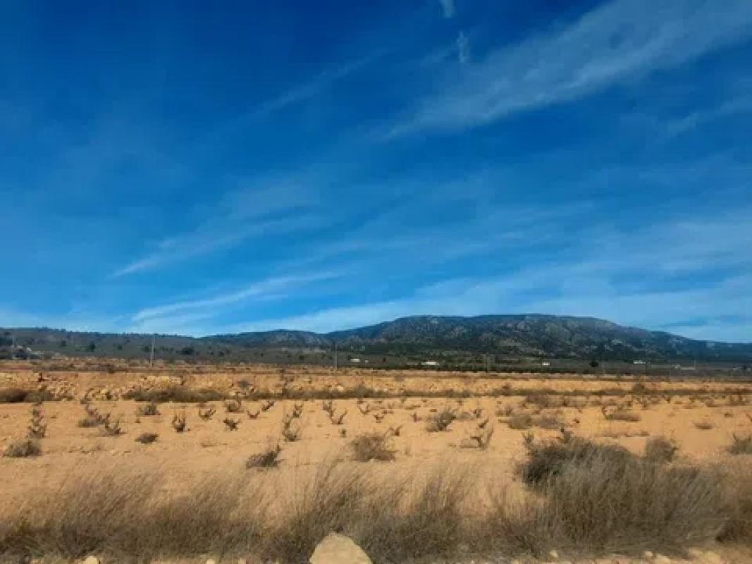 Terreno en venta en Pinoso, Alicante photo 1