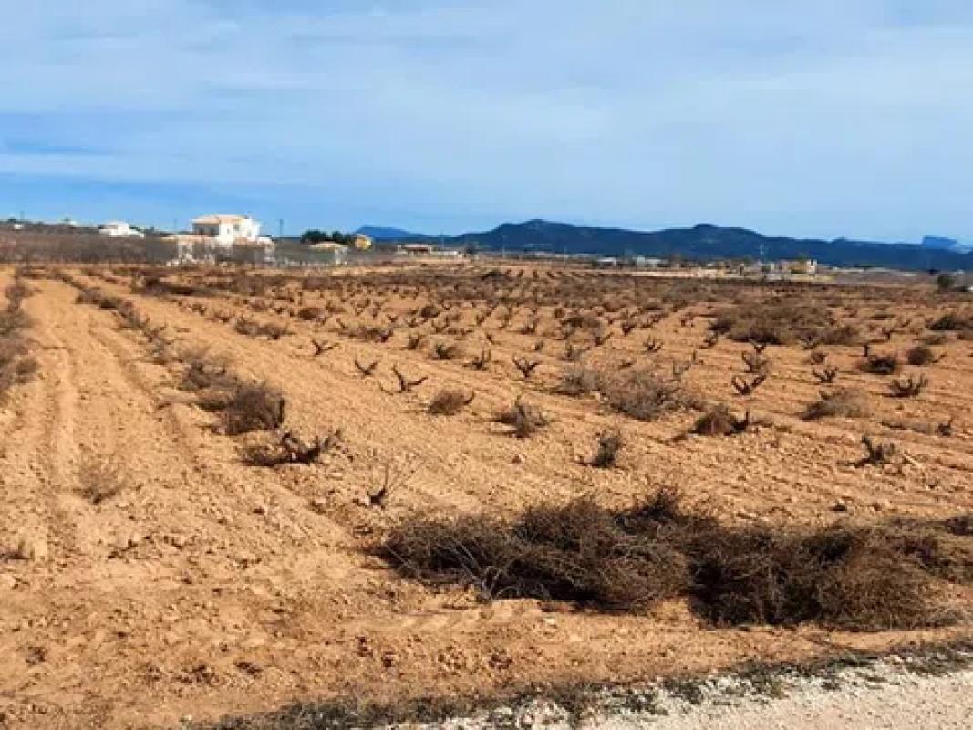 Terreno en venta en Pinoso, Alicante photo 2