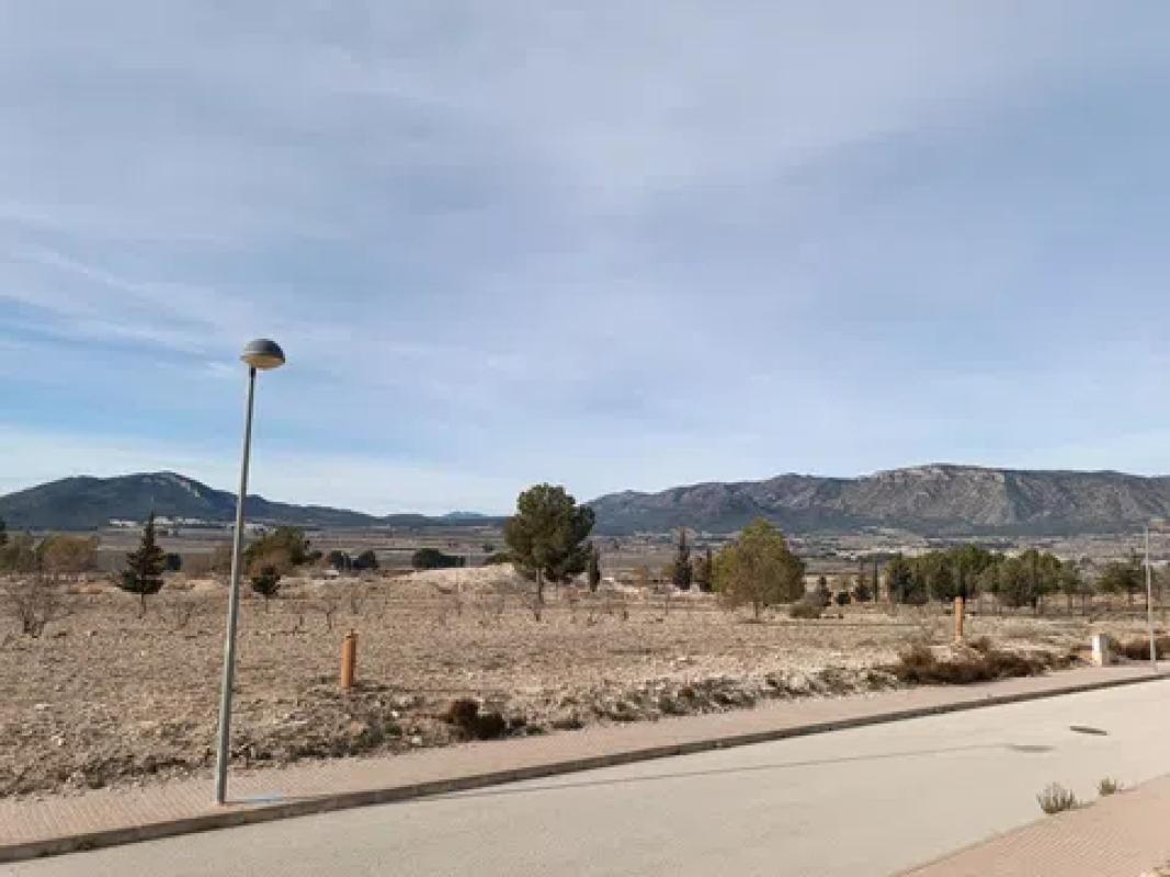 Land for sale in Salinas, Alicante photo 2