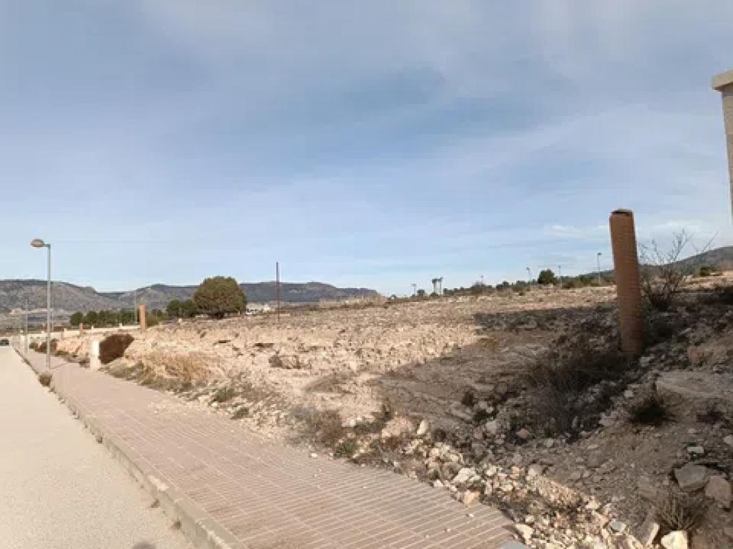Land for sale in Salinas, Alicante photo 3