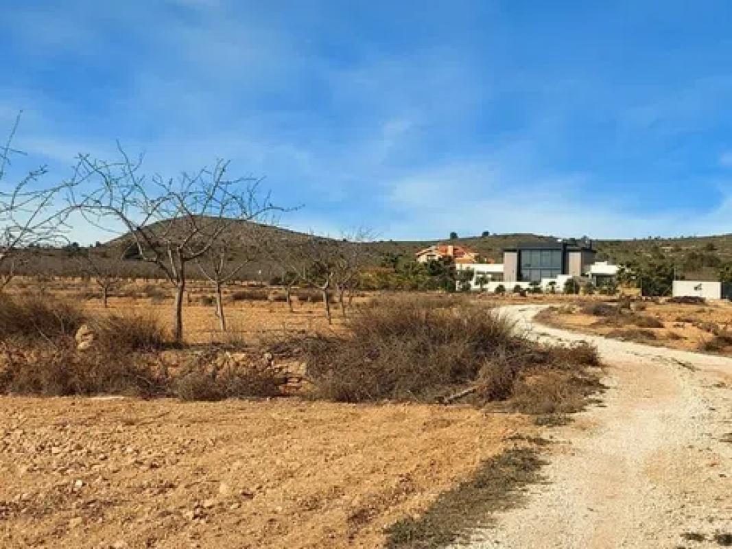 Terreno en venta en Pinoso, Alicante photo 4