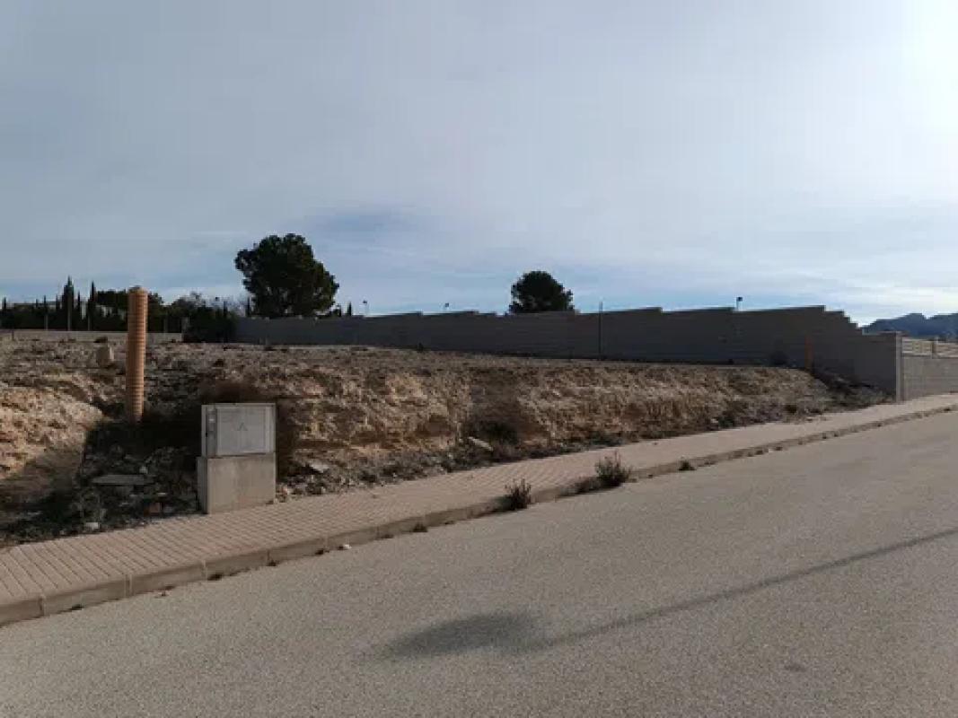 Land for sale in Salinas, Alicante photo 4