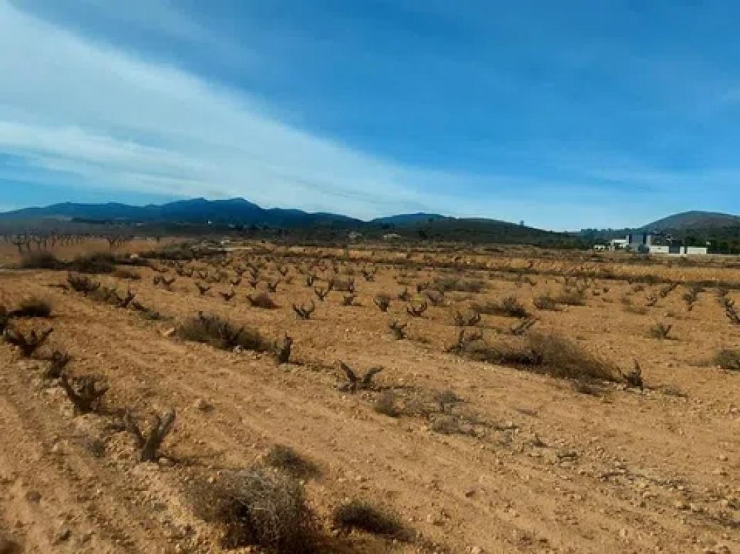 Terreno en venta en Pinoso, Alicante photo 5