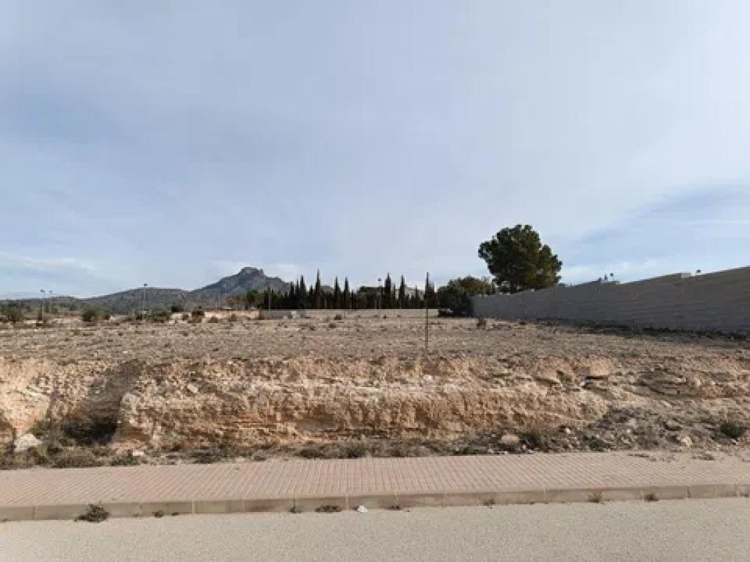 Land for sale in Salinas, Alicante photo 5