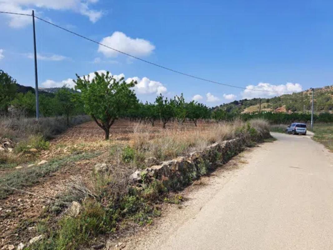 Terreno en venta en Pinoso, Alicante photo 3