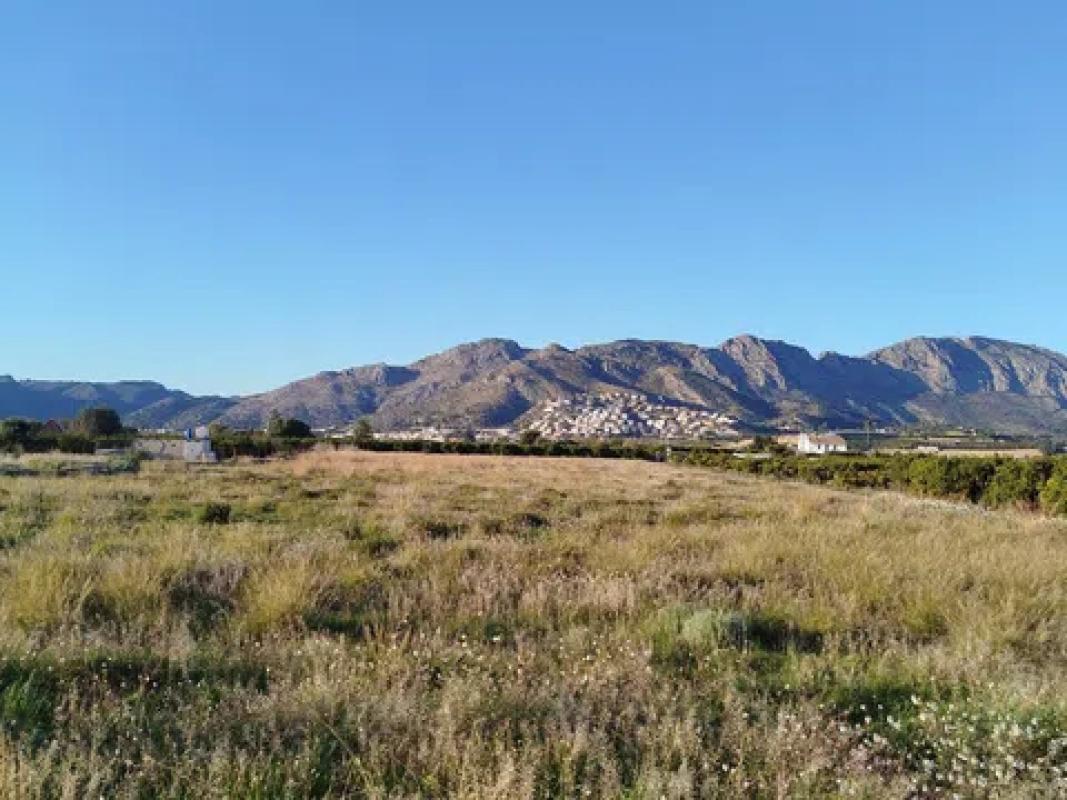 Terreno en venta en Benidoleig, Alicante photo 3