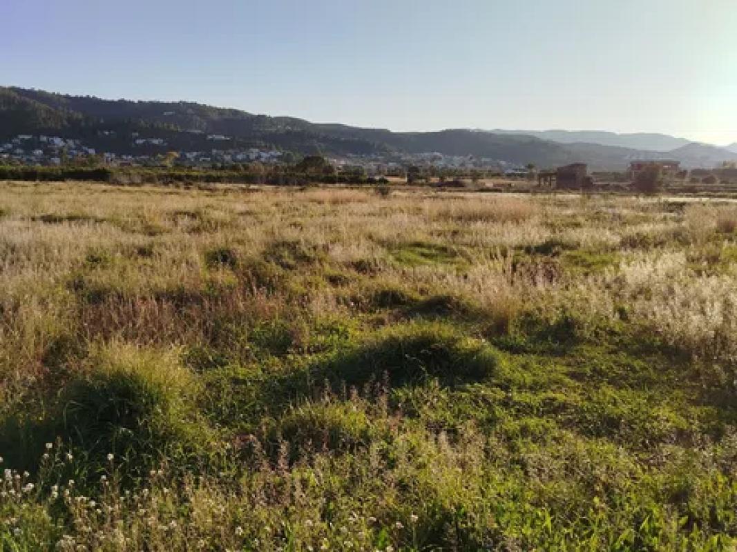Terreno en venta en Benidoleig, Alicante photo 4