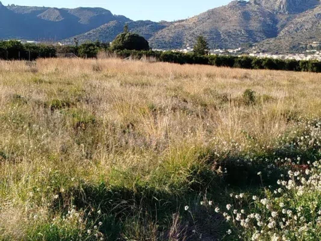 Terreno en venta en Benidoleig, Alicante photo 5