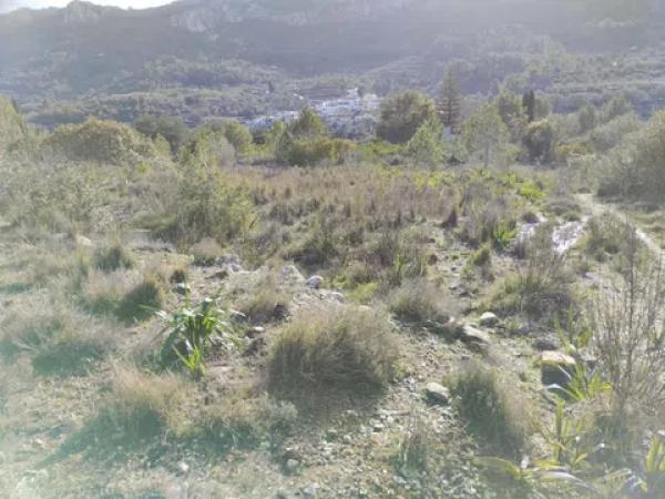 Terreno en Vall de Gallinera photo 3