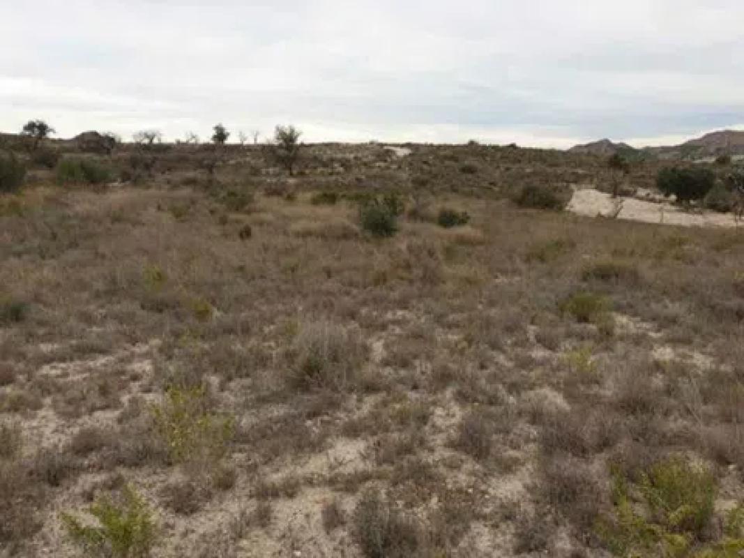 Участок земли на продажу в Морале́т, Аликанте photo 3