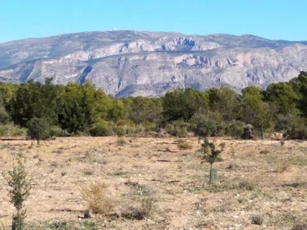 Terreno en Relleu photo 4