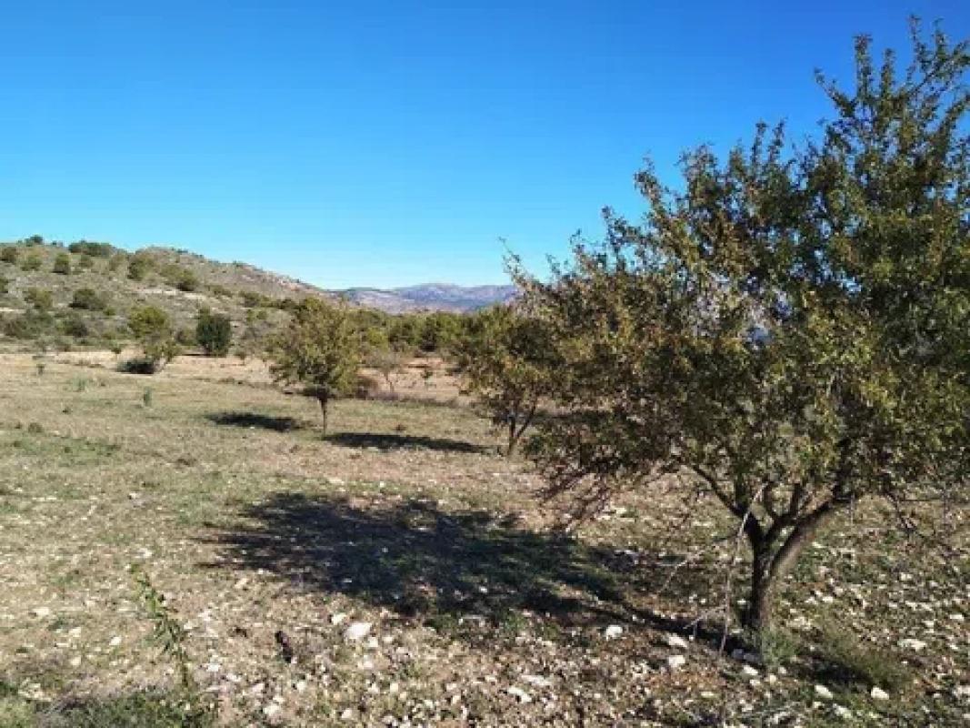 Działka na sprzedaż w Relleu, Alicante photo 5