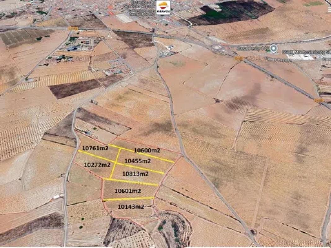 Land for sale in Pinoso, Alicante photo 1