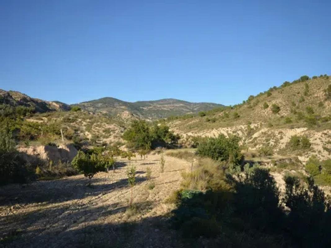 Terreno en venta en Jijona / Xixona, Alicante photo 4