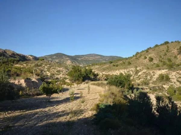 Terreno en Jijona / Xixona photo 4