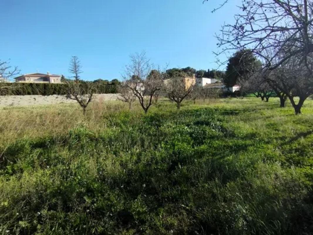 Участок земли на продажу в Гата-де-Горгос, Аликанте photo 5