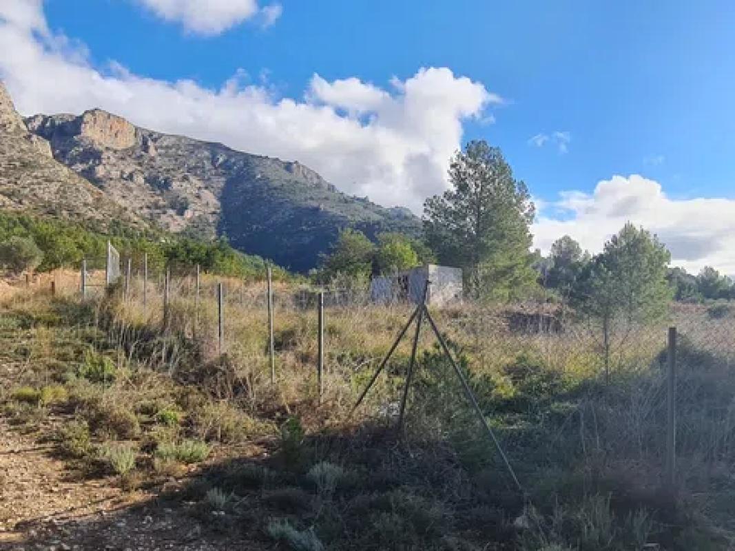 Land for sale in Benimantell, Alicante photo 5